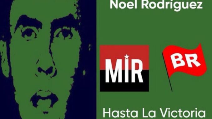 noel rodriguez